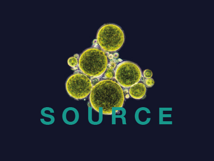 Source - Transforming supply chains 源 - 转换供应链