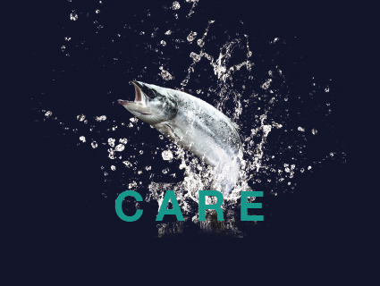 Care - Safeguarding farmed fish 护理 - 保护养殖鱼类