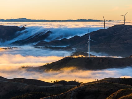 windmills captured on a foggy day landscape 雾天风景中的风车